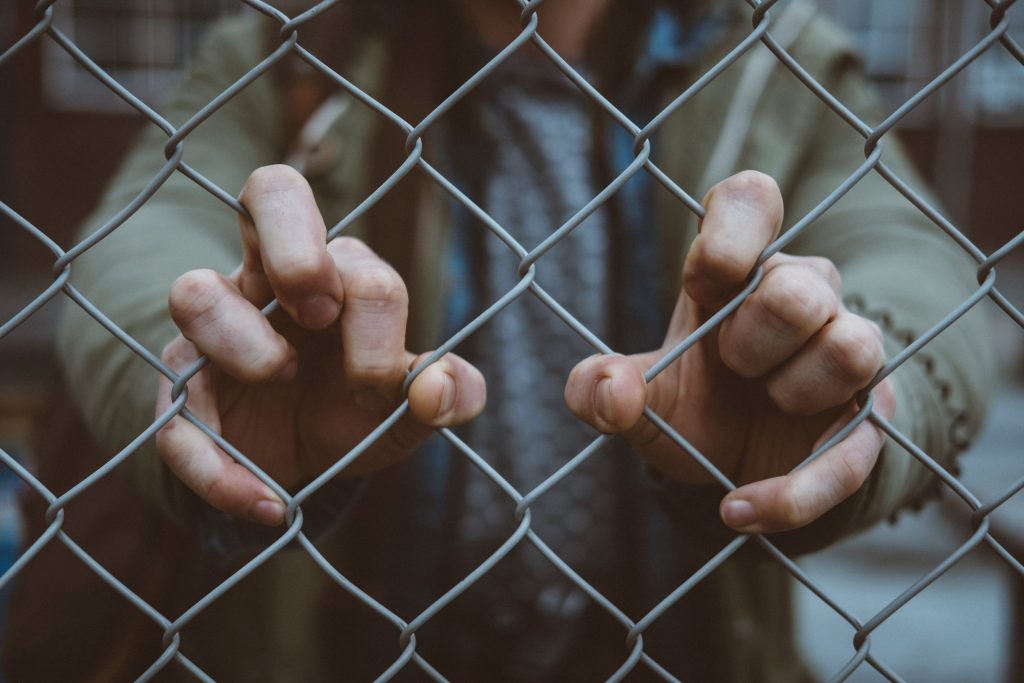 mitch-lensink-Ismnr6WSHCU-unsplash-scaled.jpg